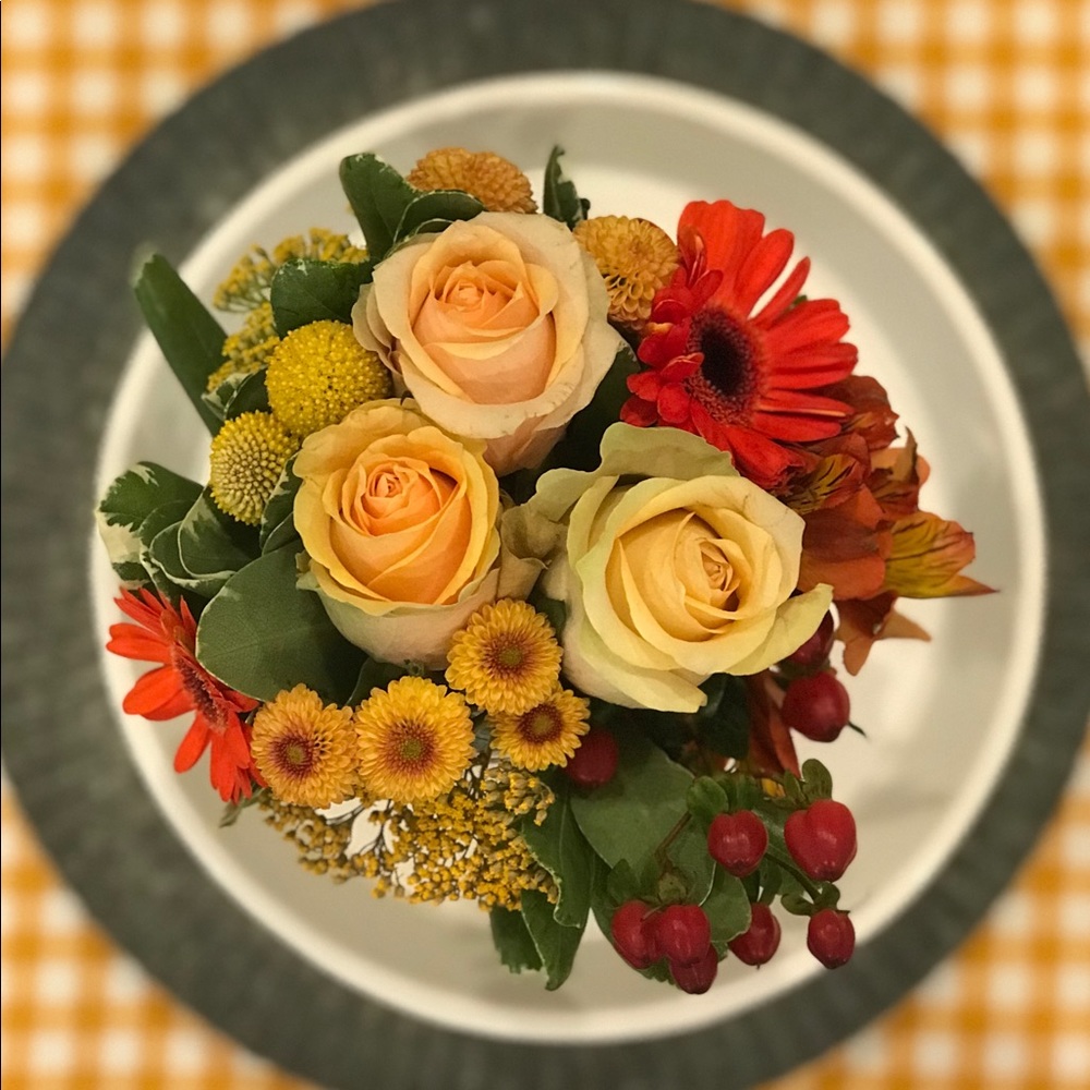 Meet your Posher, Julie